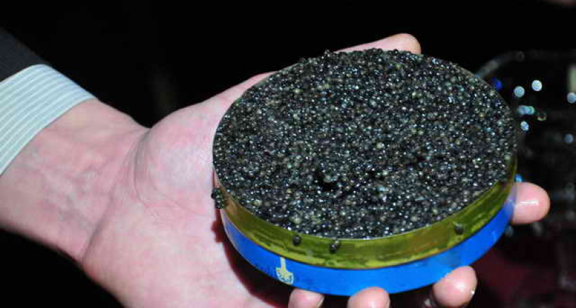 В Волгограде браконьера приговорили к 160 часам общественных работ