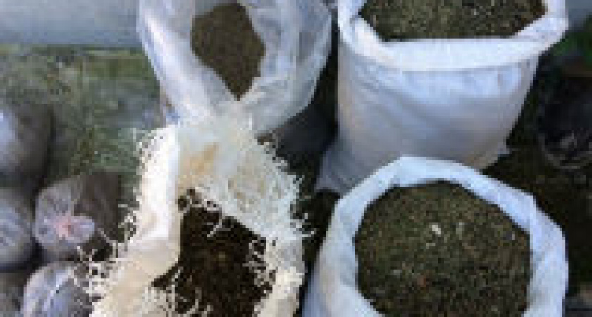 Под Волгоградом у супруги осуждённого нарокдилера нашли 23,4 килограмма марихуаны