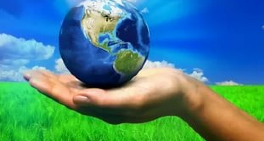 День эколога в России