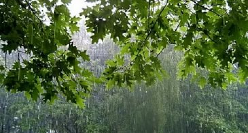 Волгоградцев ждут пасмурные выходные с дождями и грозами