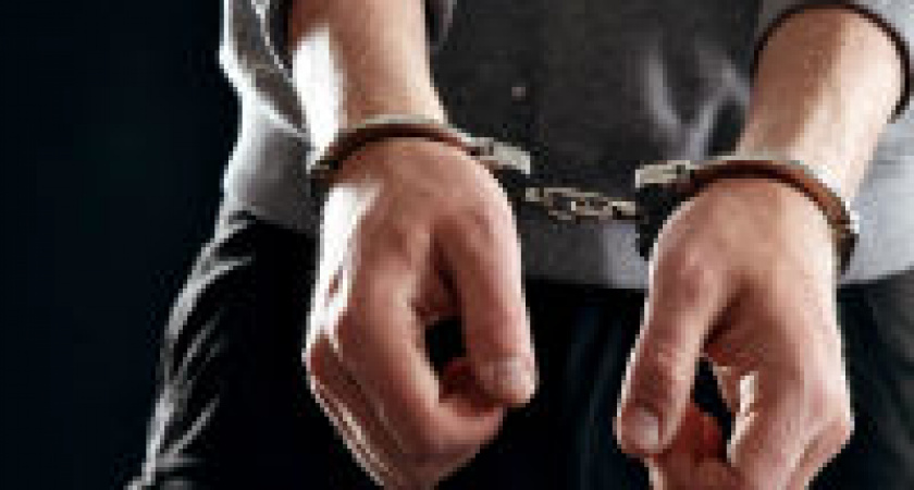 Мужчина похитил статуэтку кошки с витрины магазина в центре Волгограда