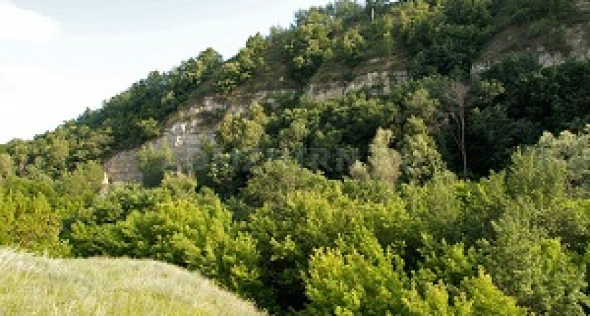 Жара наступает: В Волгоградской области введен особый противопожарный режим