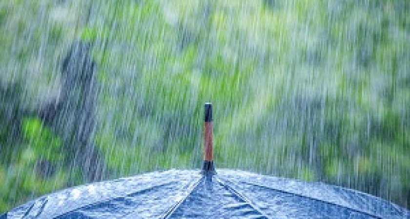 Пляж отменяется: МЧС предупреждает Волгоград о ливнях, граде и ветре