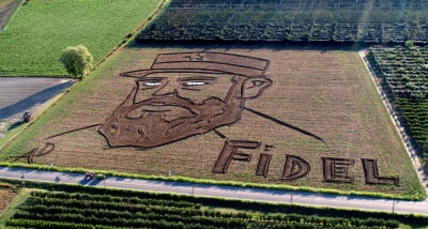 Итальянский фермер выпахал на поле гигантский портрет Путина