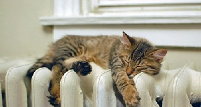 Сани и трубы надо готовить летом