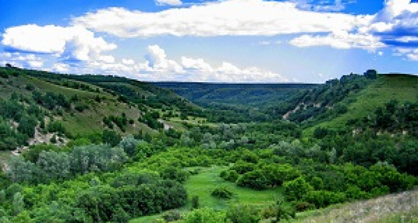 Парк «Щербаковский» объявляет конкурс «Береги природу от пожара»