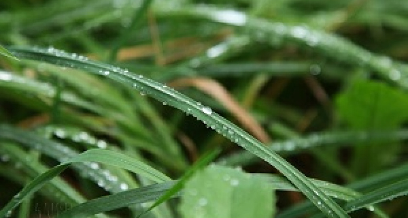 Посвежело: жара в Волгограде отступила