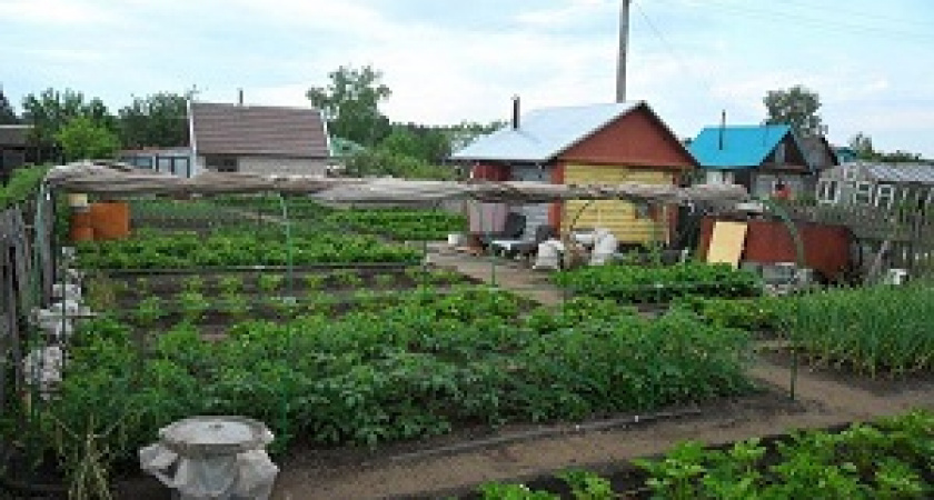 Как "дачный" закон повлияет на жизнь российских садоводов