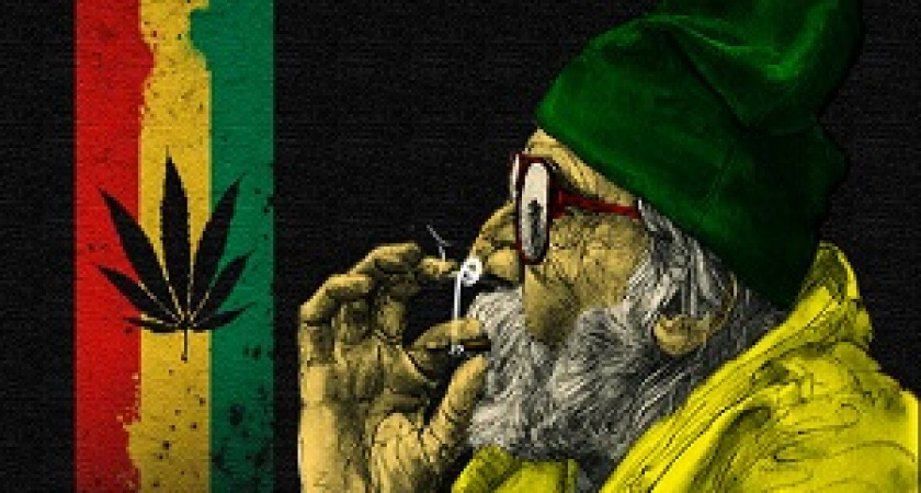 В Краснооктябрьском районе за выращивание конопли задержан садовод-любитель