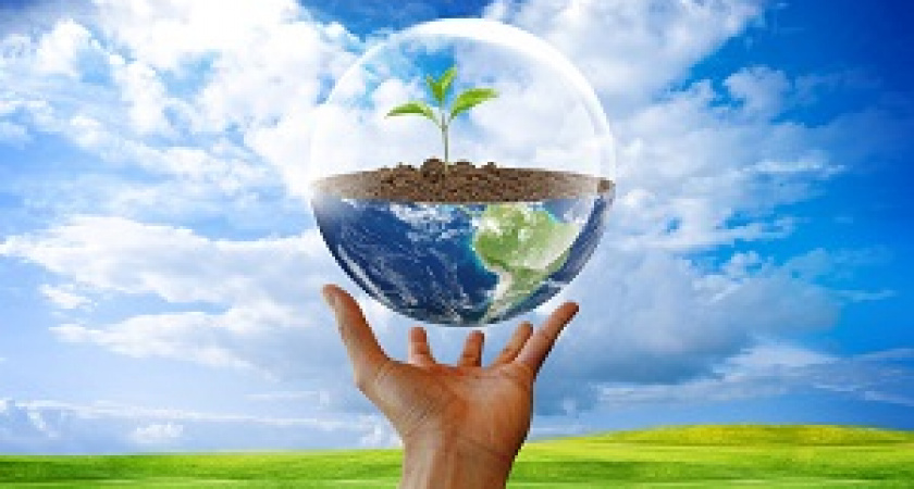 Волгоград примет участие во Всероссийском экологическом форуме