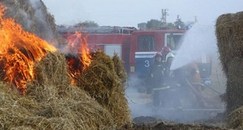 В Волгоградской области за сутки сгорело более 60 тонн сена