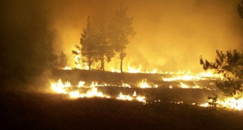 В Волгоградской области оценивают ущерб от пожаров