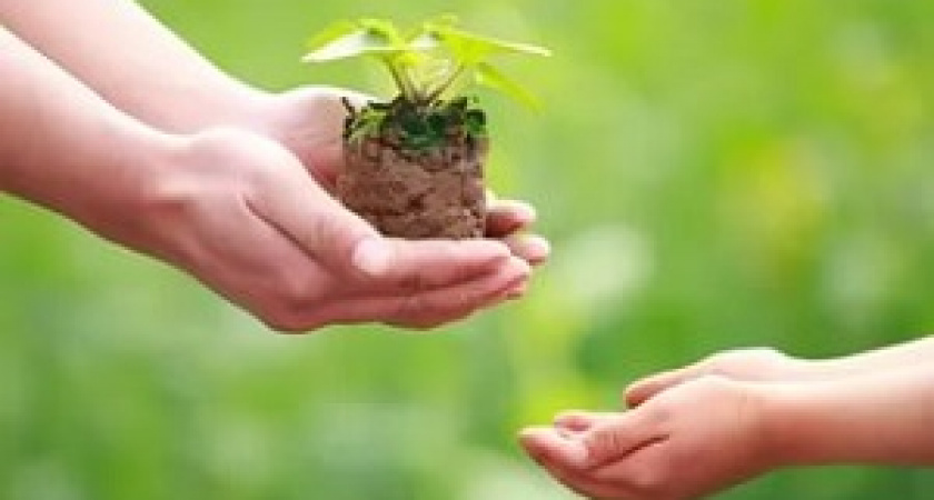 Сегодня – Международный день благотворительности