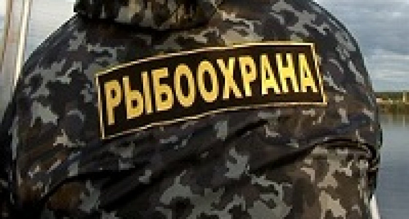 Из рыбака выбили 50 тысяч рублей железной лестницей