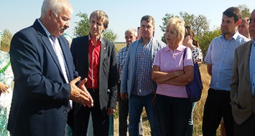 «Нам не нужна война, нам нужен мир!»: в Волгоградской области засеяли «Поле мира»