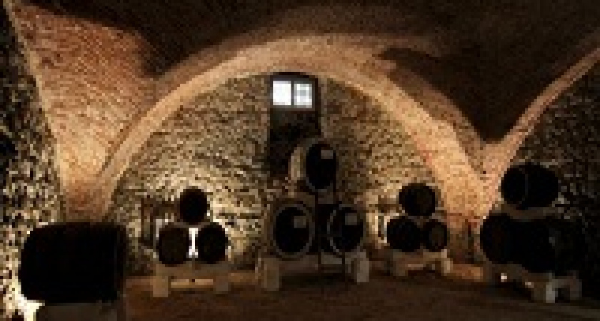 Волгоградцев зовут на «Октоберфест»