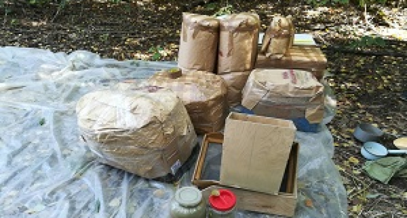 Под Волгоградом с 180 кг марихуаны пойманы два местных жителя 