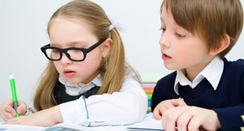 Волгоградских второклассников проверяют по русскому языку