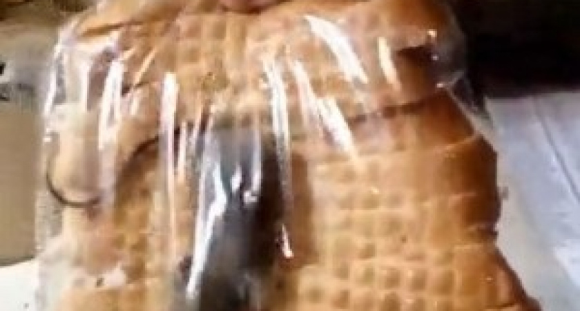 Дубовчанин запечатлел в магазине мышь в батоне