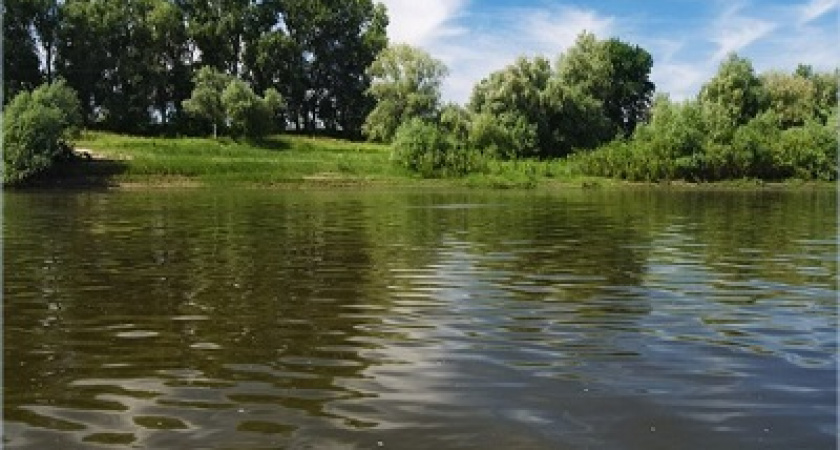 На проект по обводнению Ахтубы дополнительно потребуется 3 млрд рублей