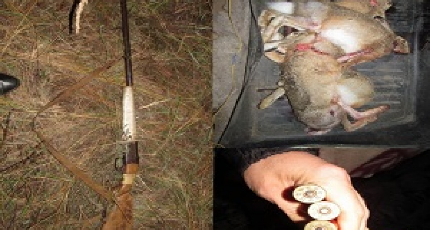 Под Волгоградом задержали браконьеров, отстреливавших зайцев