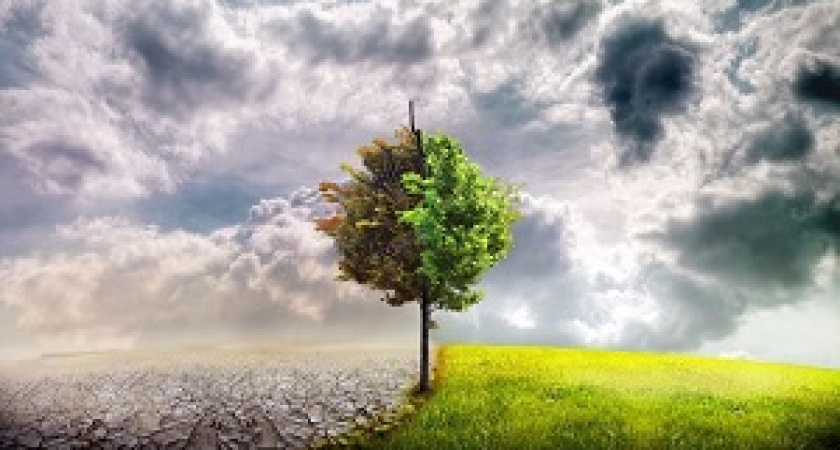 В Волгограде пройдет молодежный экологический форум