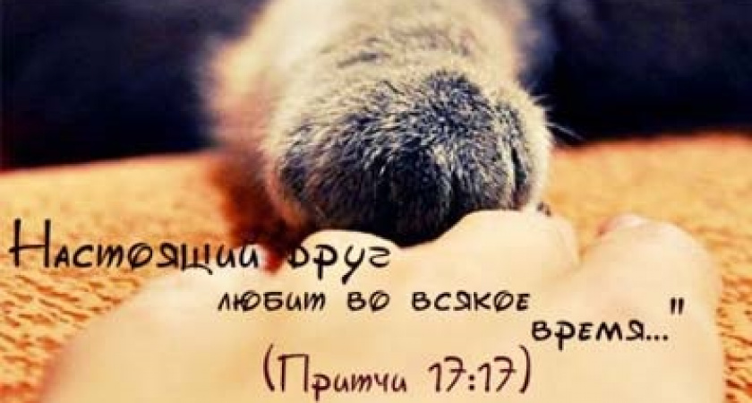 Зазвездилась