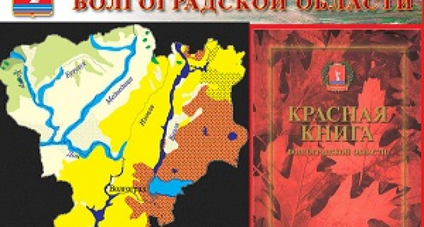 В Волгоградской области переиздали Красную книгу