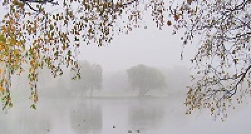 Волгоградцев ждут дождливые и туманные выходные