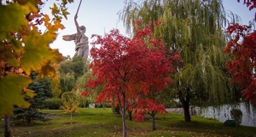 Волгоград попал в число самых популярных городов России