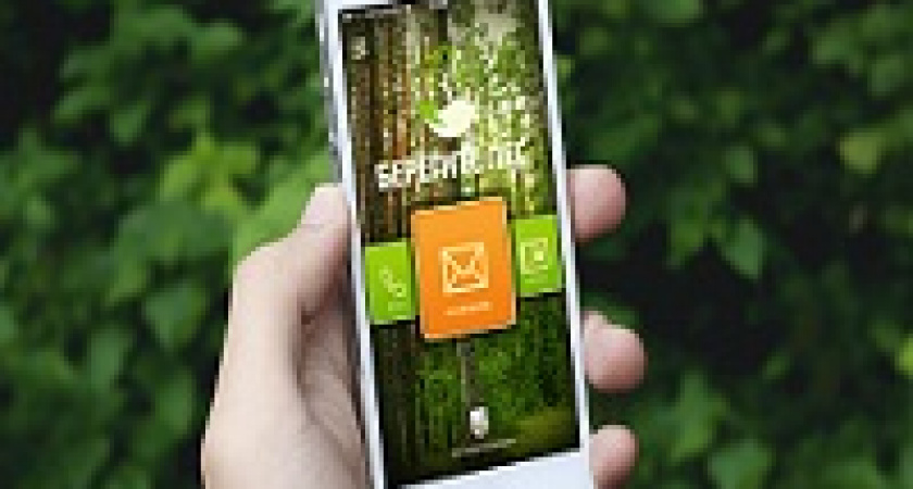 Береги лес онлайн