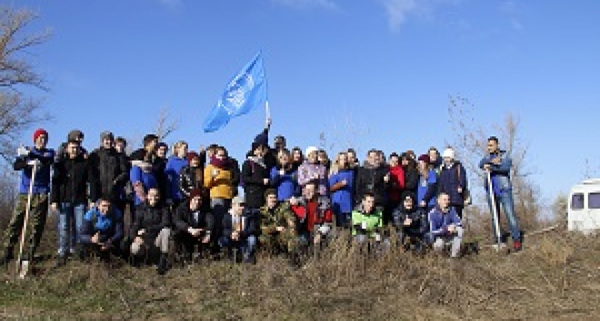 В Волго-Ахтубинской пойме высадили четыре тысячи тополей, ивы и шиповника