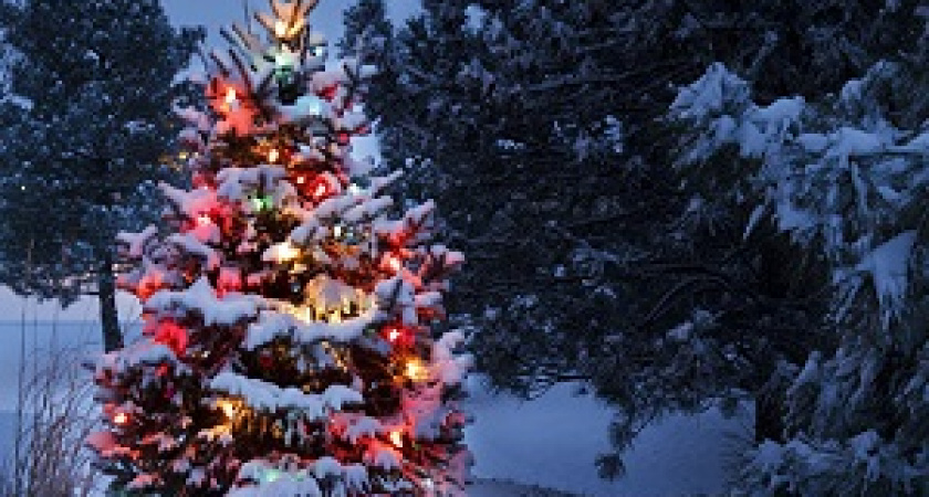 Волгоград ожидает более ста новогодних мероприятий