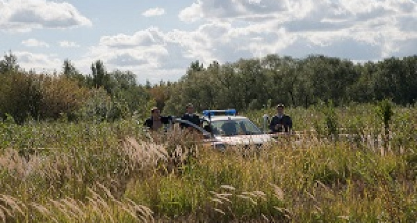 4 причины, оправдывающие гаишников в кустах