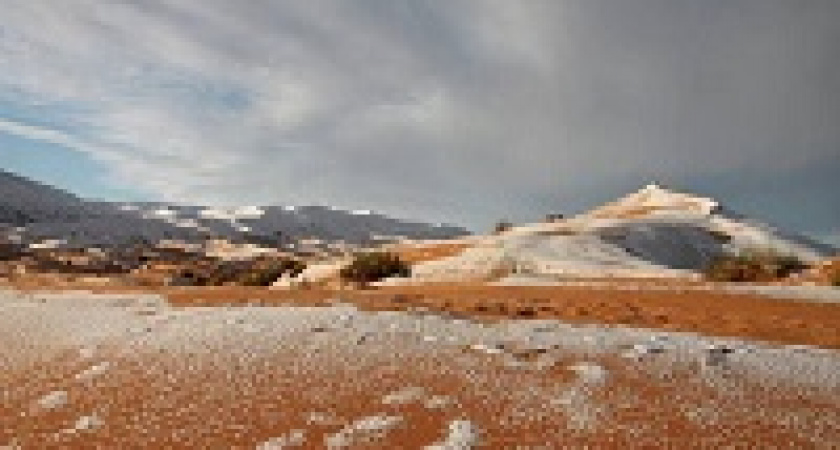 Волгоград ждет снег…