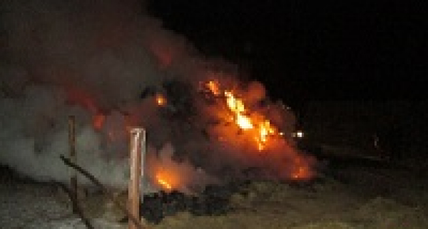 Под Волгоградом сгорело 50 тонн сена