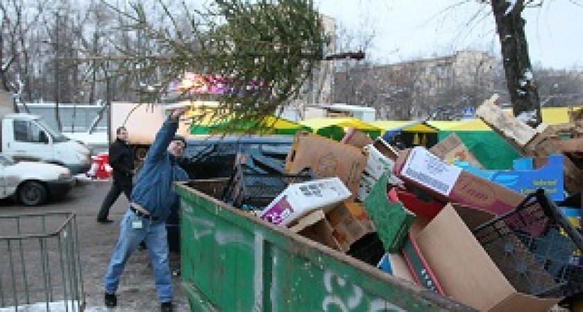 Когда выбрасывать елку?