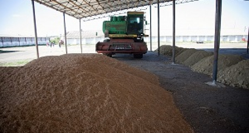 Волгоградские аграрии собрали 5,6 млн тонн зерна