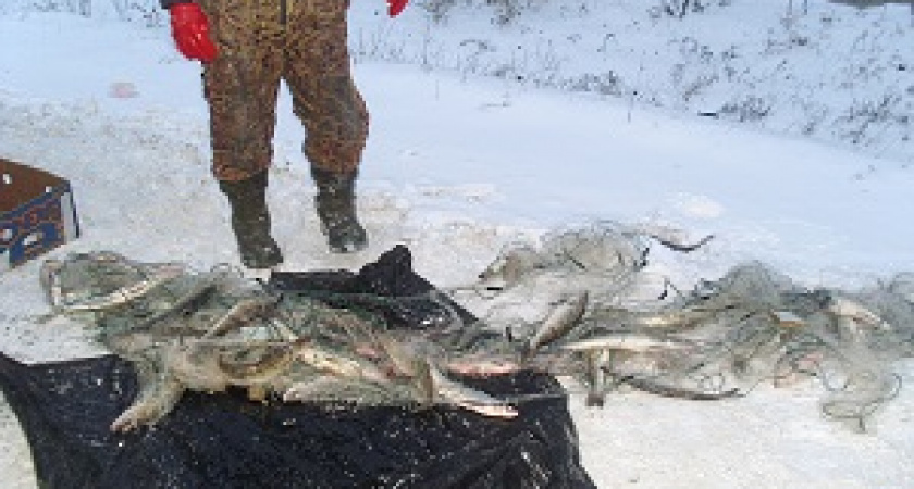 Под Волгоградом задержана группировка браконьеров