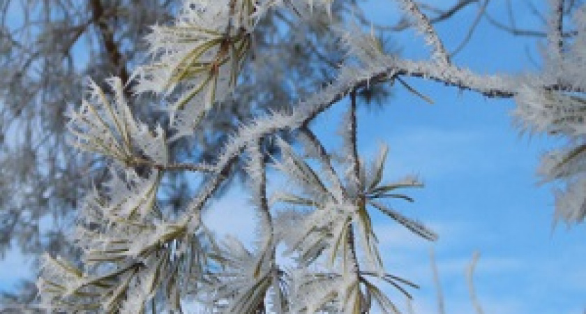 6 февраля – Аксиньин день