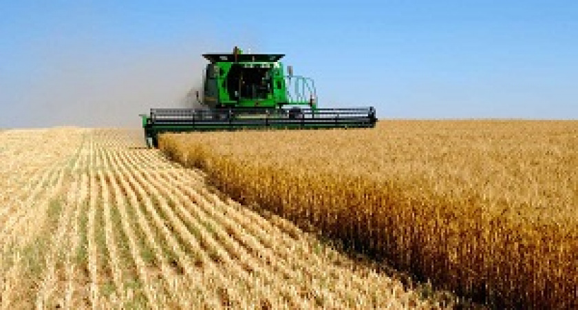 В Волгограде пройдет агрофорум