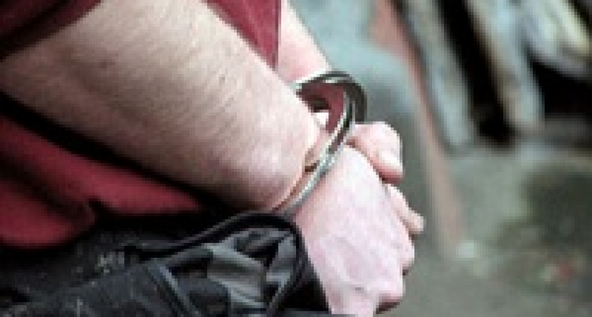 Под Москвой задержан волгоградский педофил