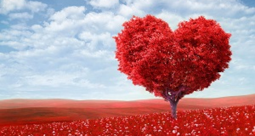 Сегодня – День всех влюбленных
