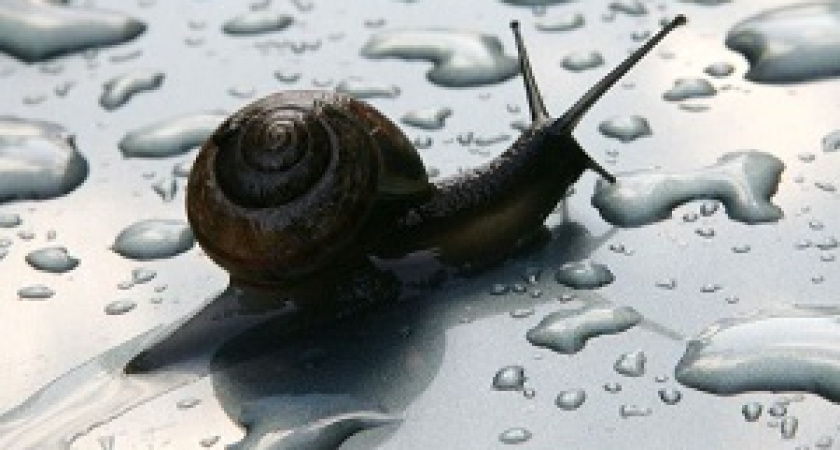 Кондуктор не спешит