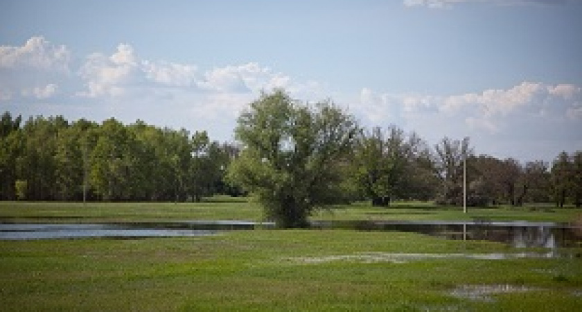 Сотни миллионов – в пойму