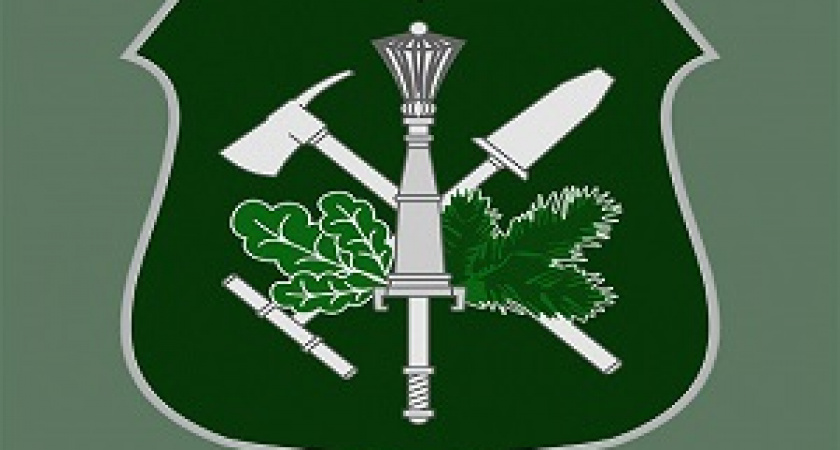 В Волгоградской области будут использовать АИС «Оборонлес»