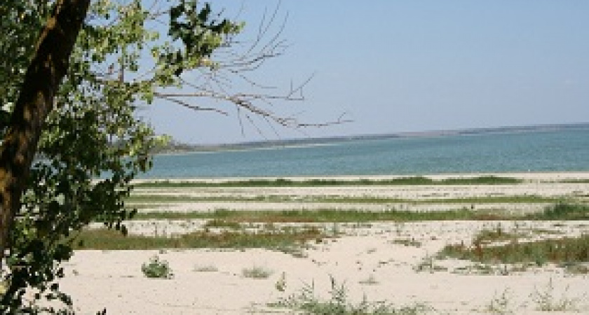 В Волгограде проходит экоконкурс «Первозданный мир»