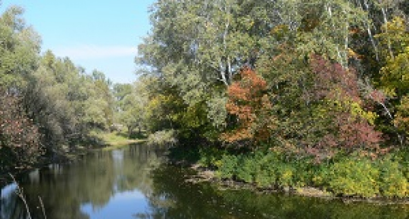 Волгоградцам предлагают запечатлеть природу «как она есть»