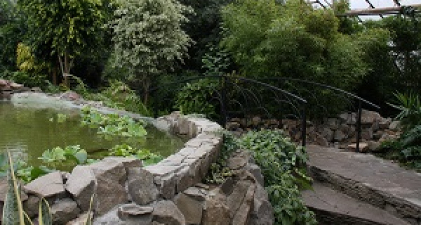 Ботанический сад Волгограда отмечает 15-летний юбилей