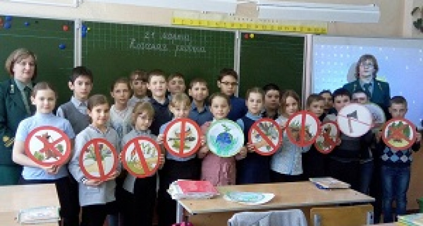 Юные волгоградцы узнали о сохранении лесов